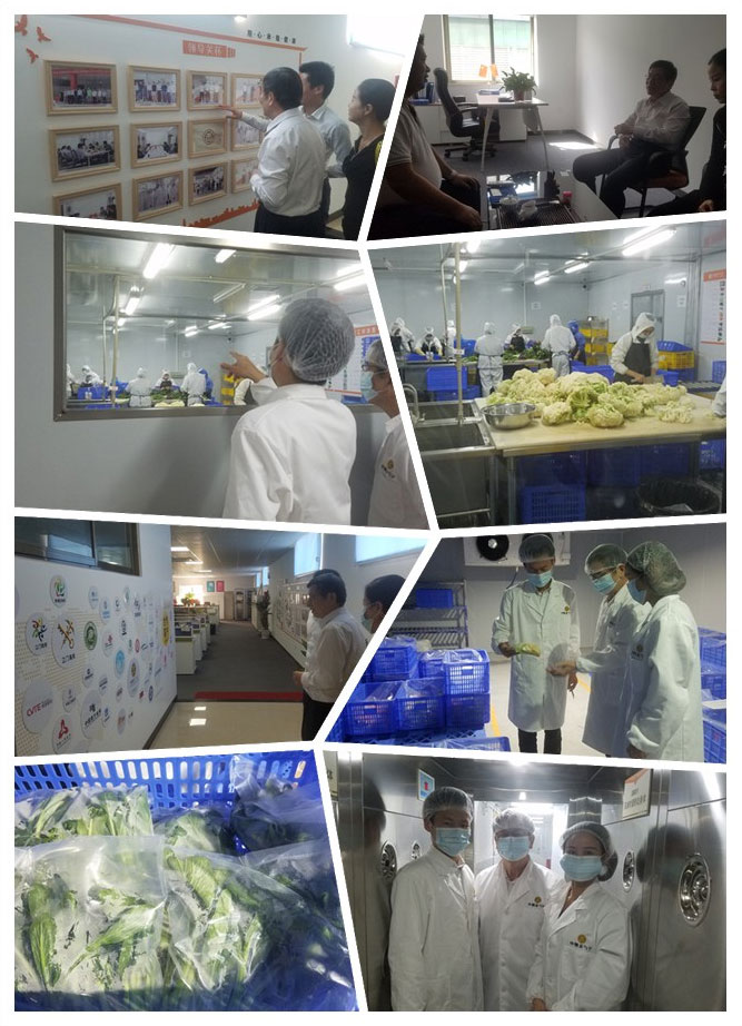 首页| 402cc永利集团中国区官方网站