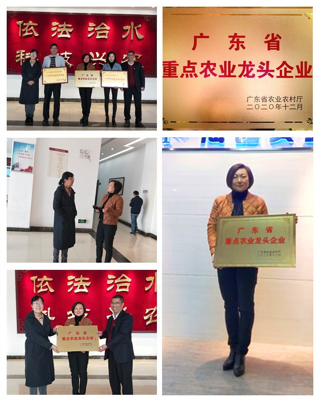 首页| 402cc永利集团中国区官方网站