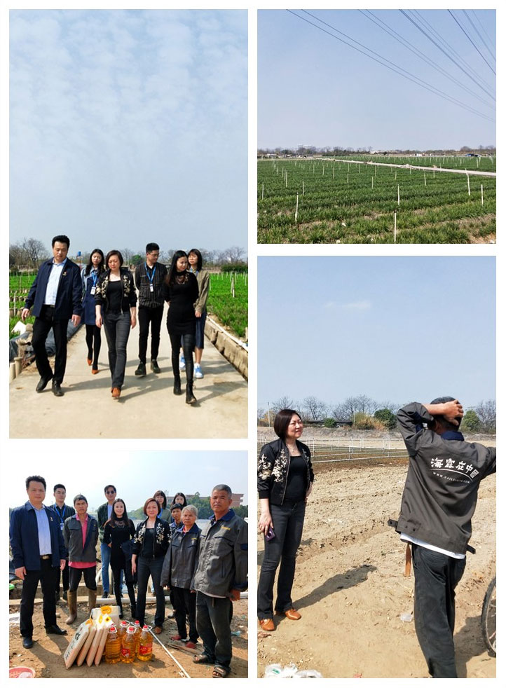 首页| 402cc永利集团中国区官方网站