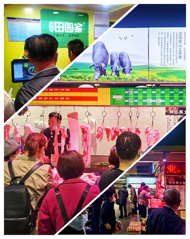 首页| 402cc永利集团中国区官方网站