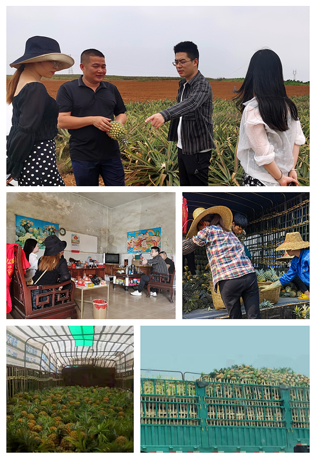 首页| 402cc永利集团中国区官方网站