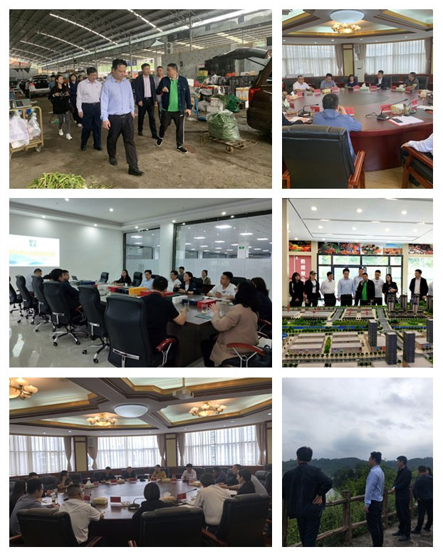 首页| 402cc永利集团中国区官方网站