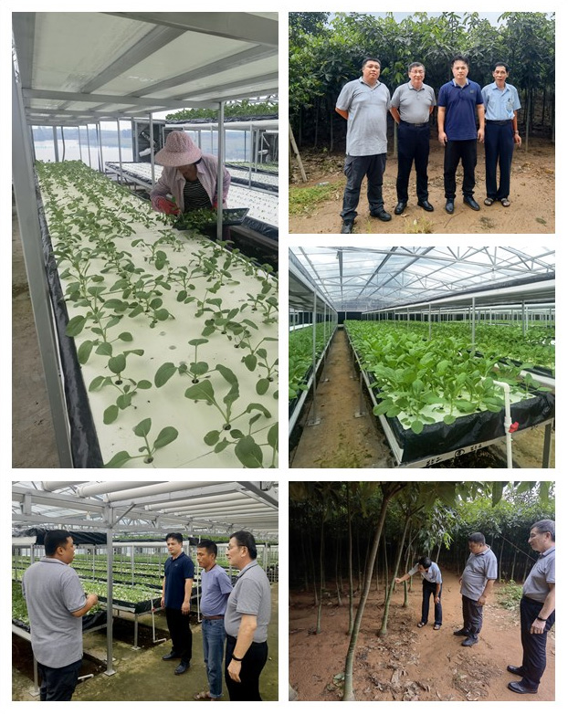 首页| 402cc永利集团中国区官方网站