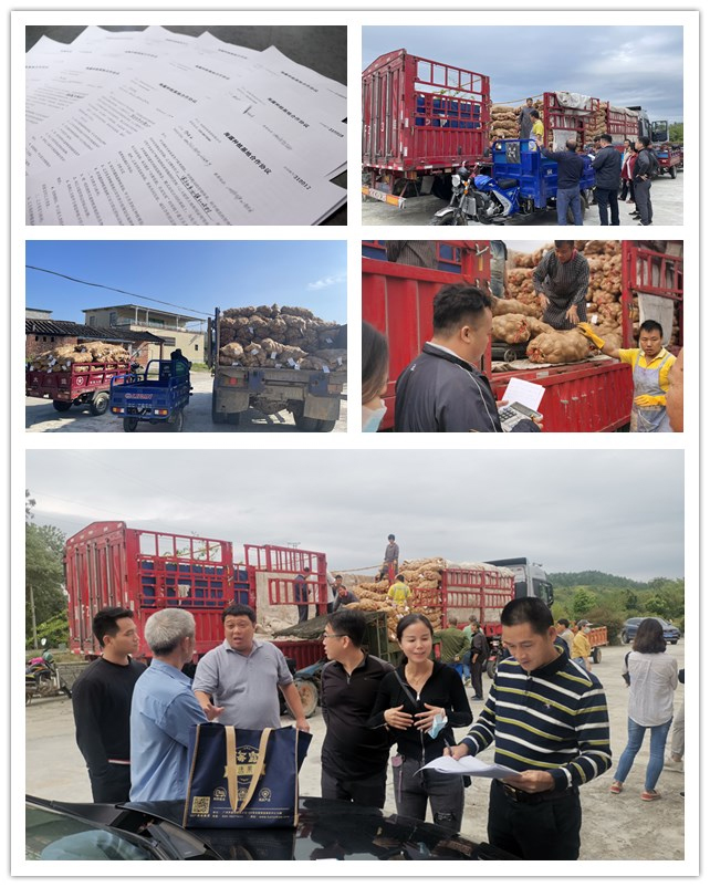 首页| 402cc永利集团中国区官方网站