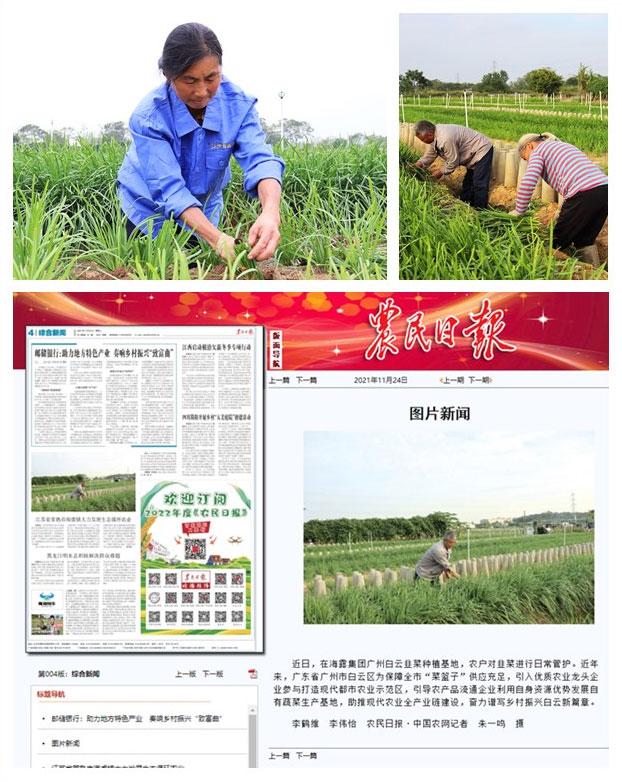 首页| 402cc永利集团中国区官方网站