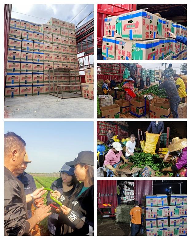 首页| 402cc永利集团中国区官方网站