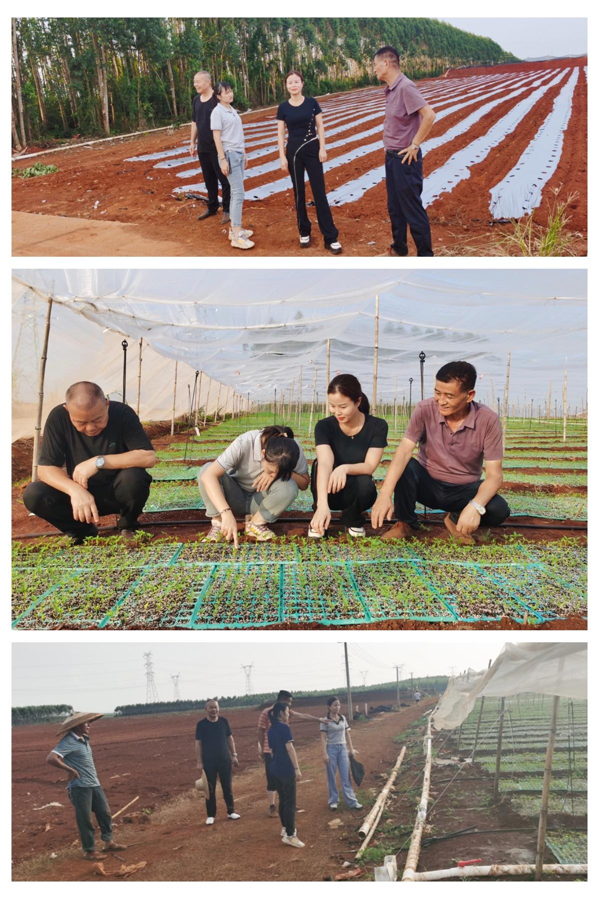 首页| 402cc永利集团中国区官方网站