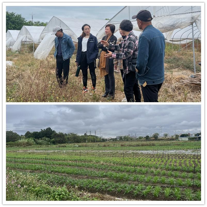 首页| 402cc永利集团中国区官方网站