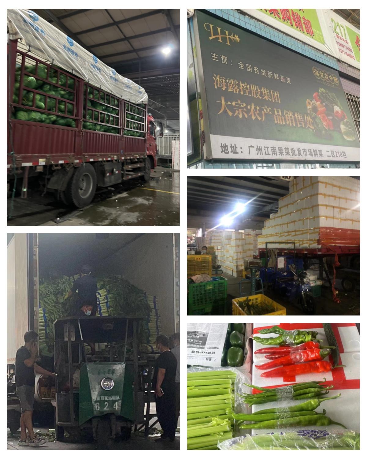 首页| 402cc永利集团中国区官方网站