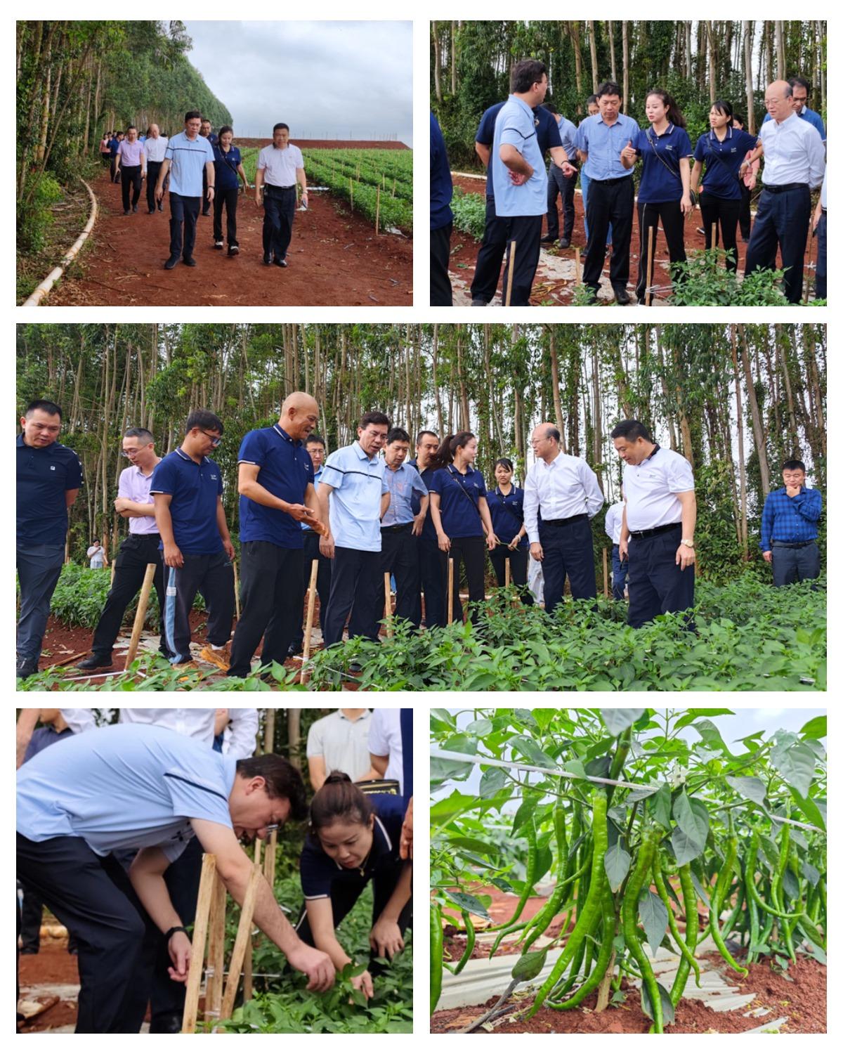 首页| 402cc永利集团中国区官方网站