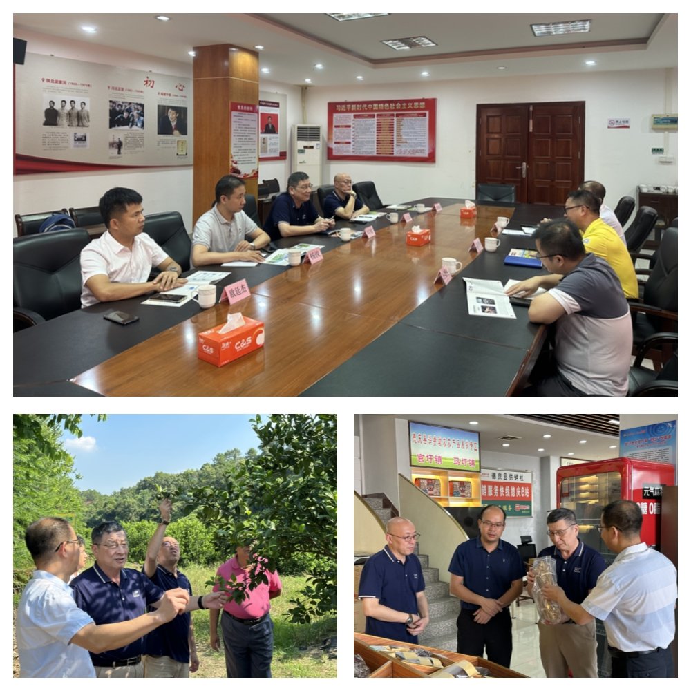 首页| 402cc永利集团中国区官方网站