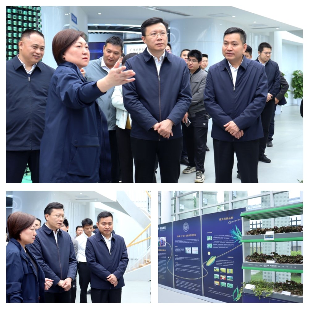 首页| 402cc永利集团中国区官方网站