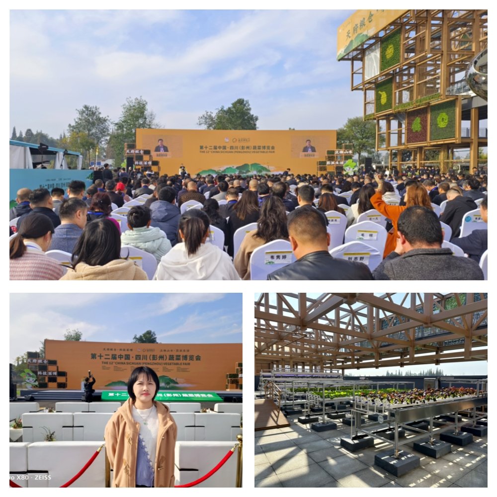 首页| 402cc永利集团中国区官方网站