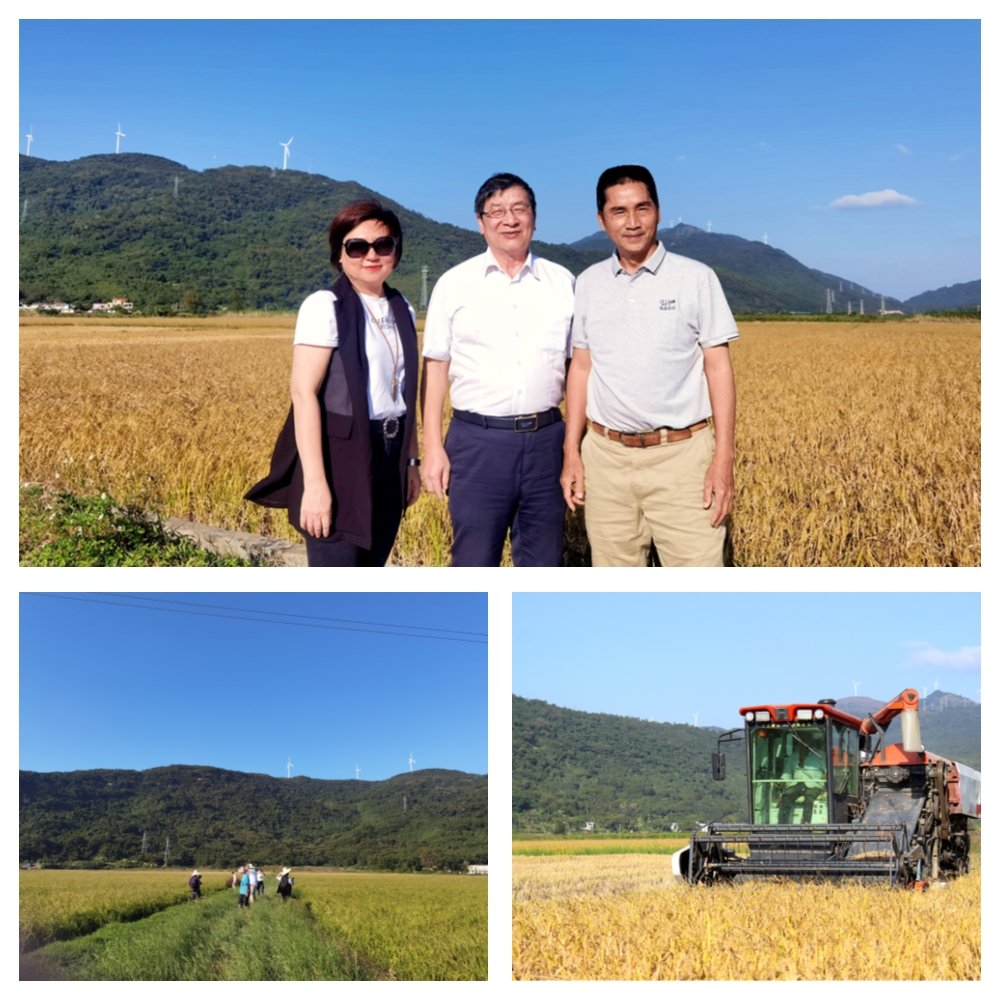 首页| 402cc永利集团中国区官方网站