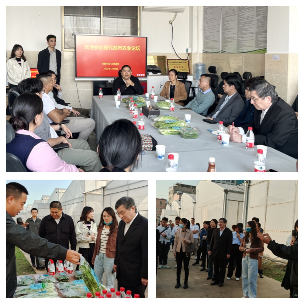 首页| 402cc永利集团中国区官方网站