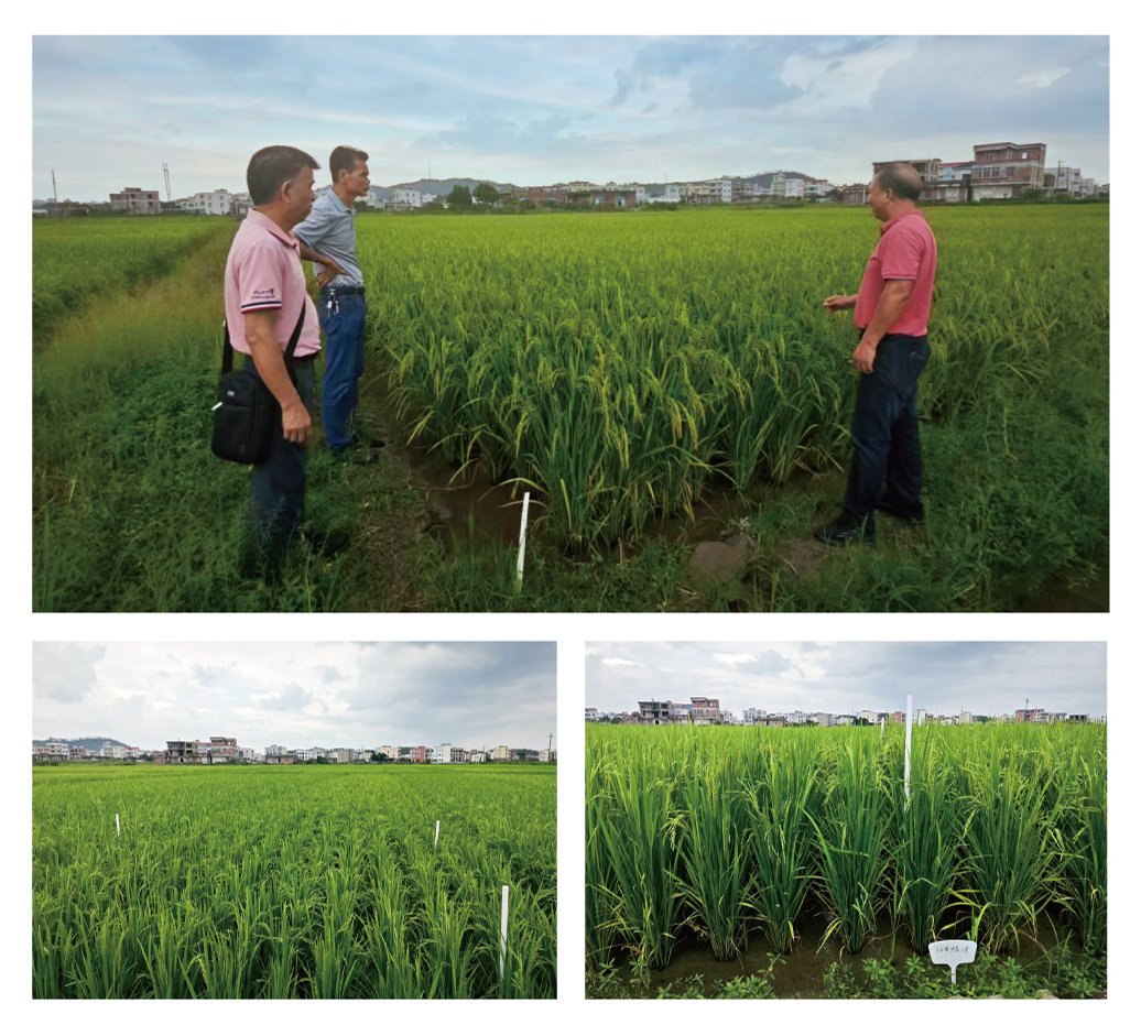 首页| 402cc永利集团中国区官方网站