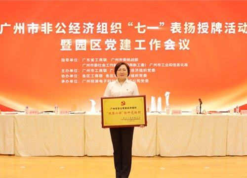 标杆引领，荣誉升级！集团党支部荣膺广州市非公有造经济组织“双强六好”标