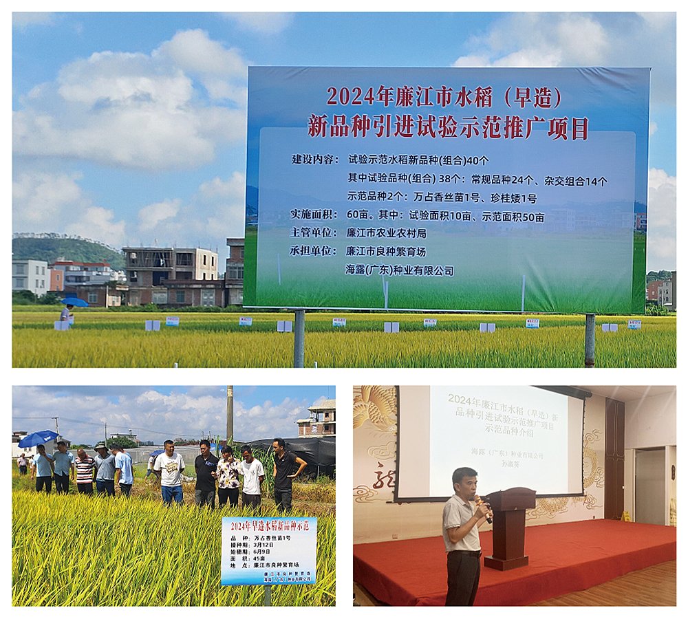 首页| 402cc永利集团中国区官方网站