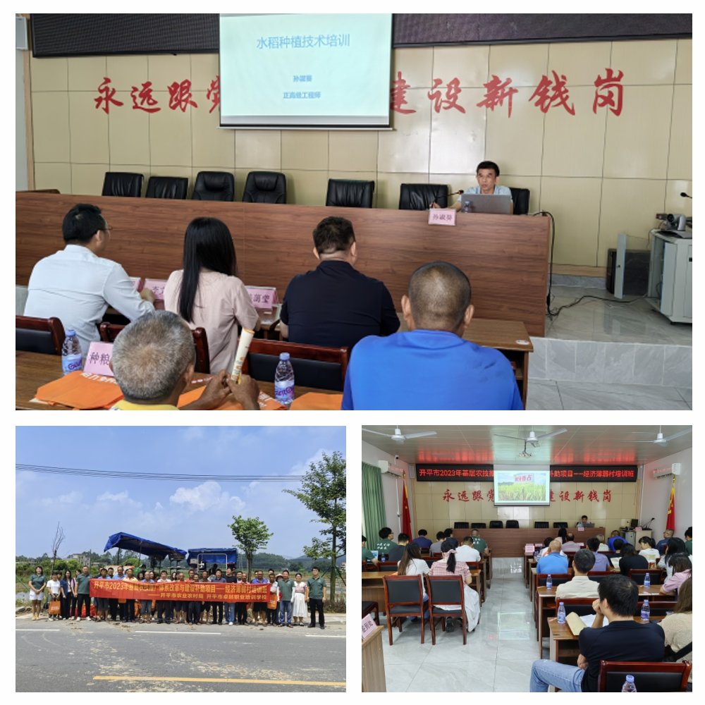 首页| 402cc永利集团中国区官方网站