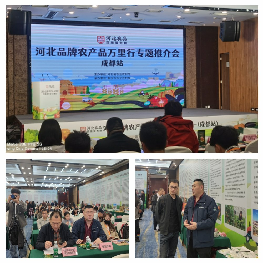 首页| 402cc永利集团中国区官方网站