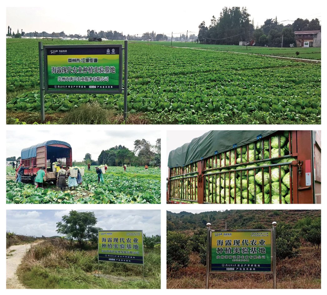 首页| 402cc永利集团中国区官方网站