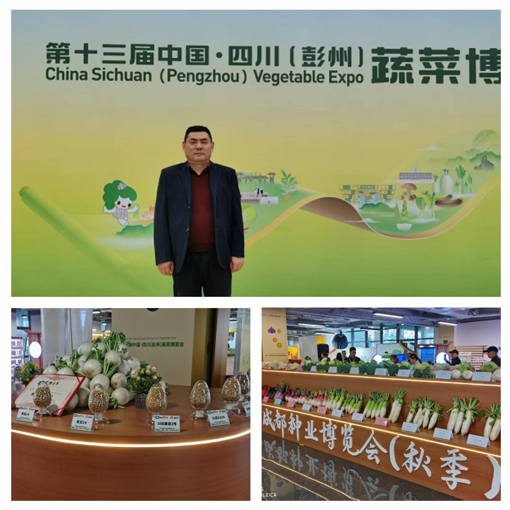 首页| 402cc永利集团中国区官方网站