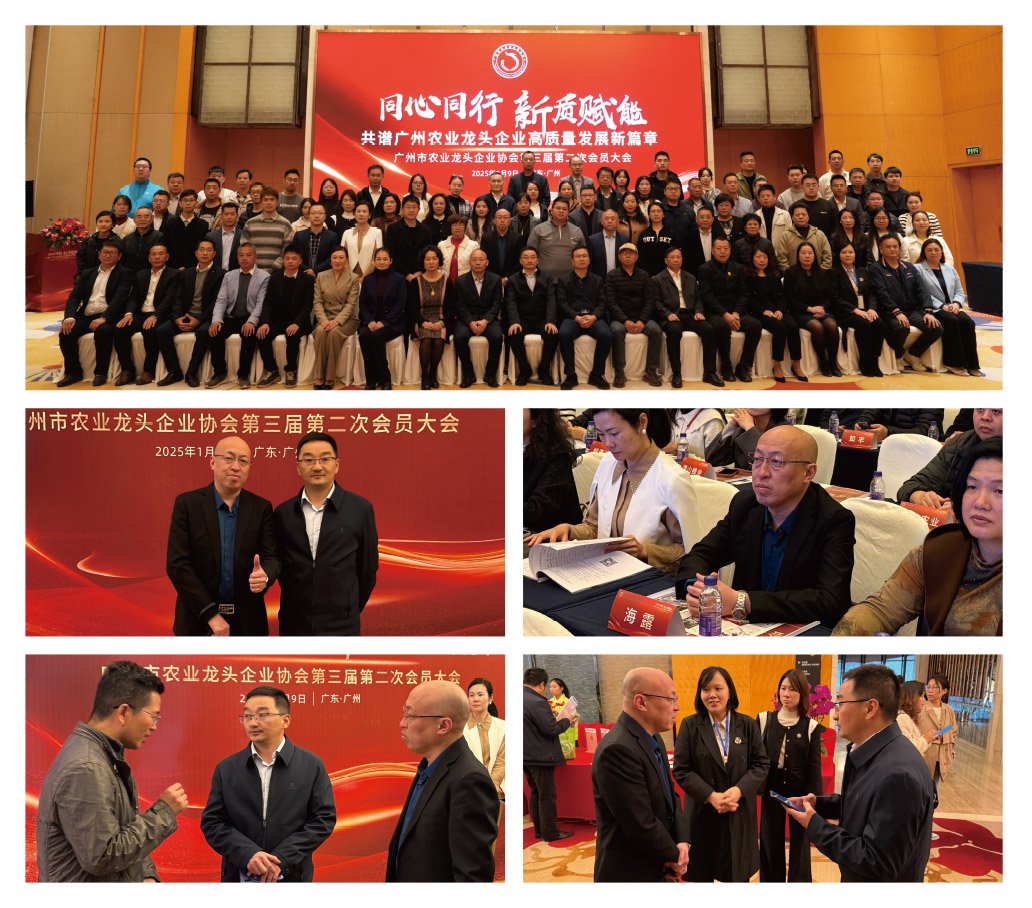 首页| 402cc永利集团中国区官方网站