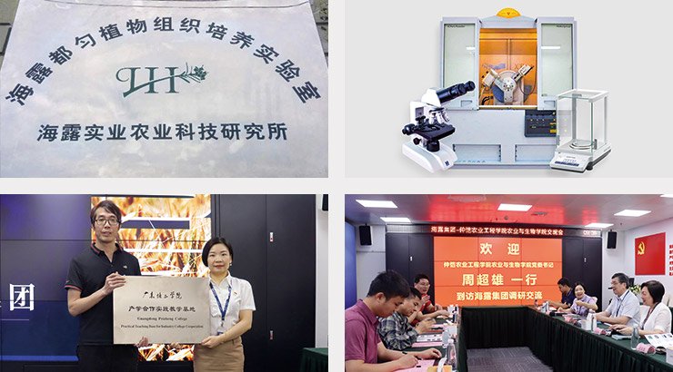 首页| 402cc永利集团中国区官方网站