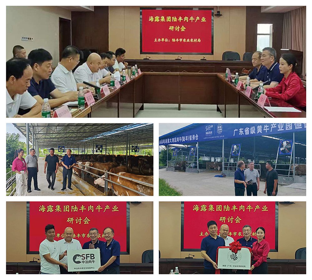 首页| 402cc永利集团中国区官方网站