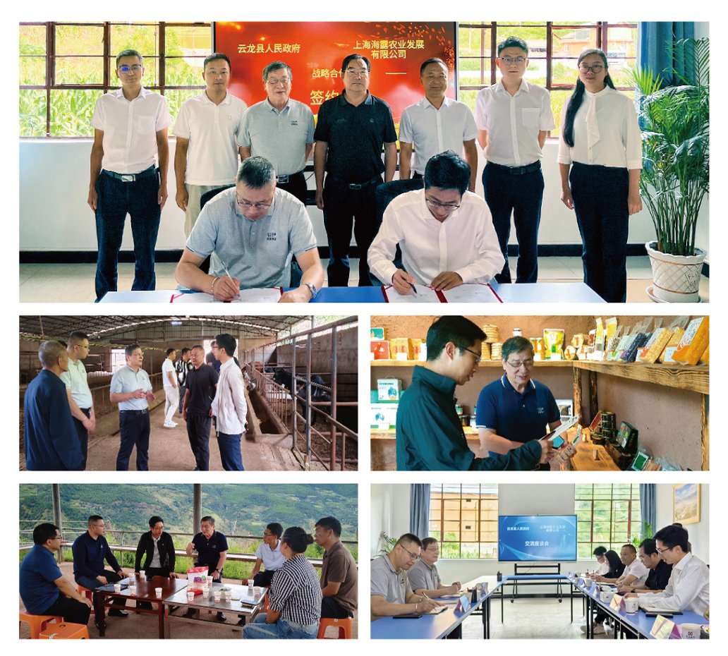 首页| 402cc永利集团中国区官方网站