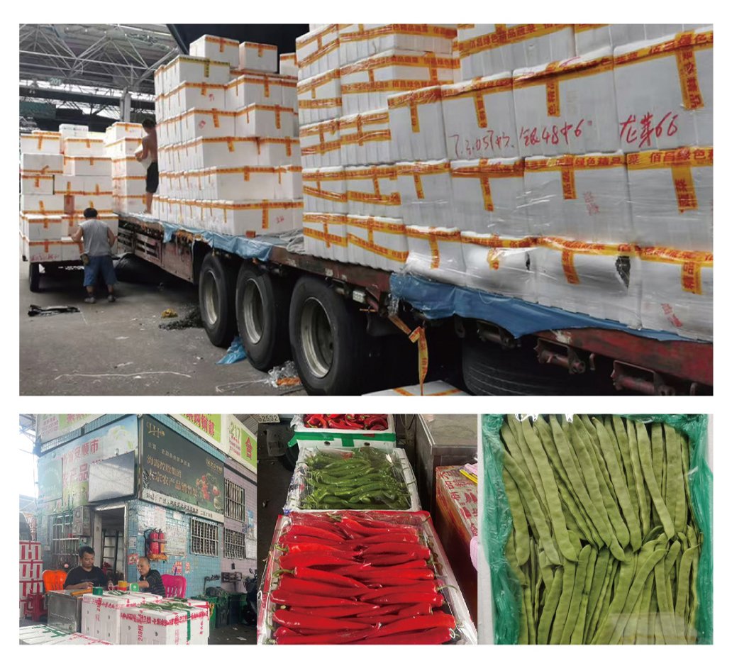 首页| 402cc永利集团中国区官方网站