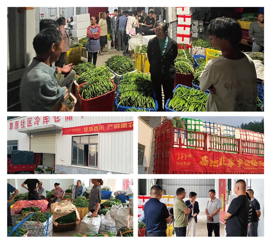 首页| 402cc永利集团中国区官方网站