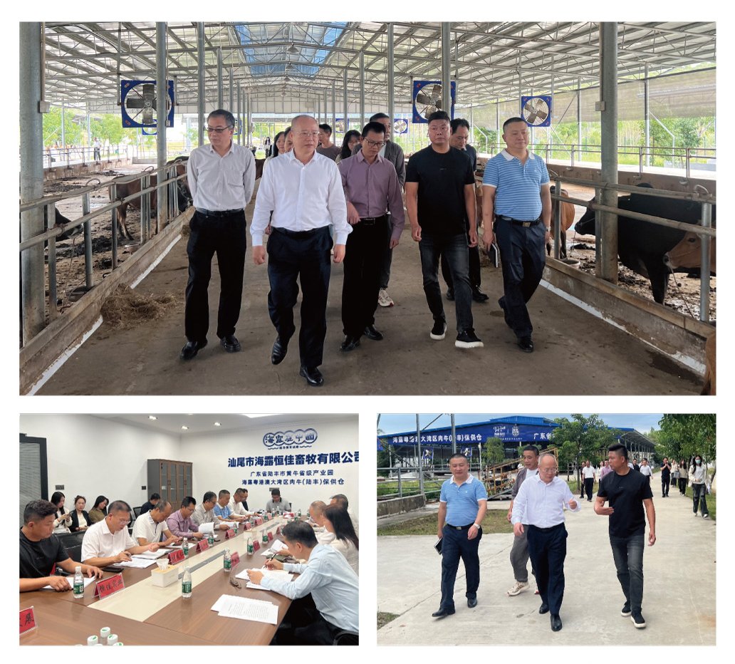 首页| 402cc永利集团中国区官方网站