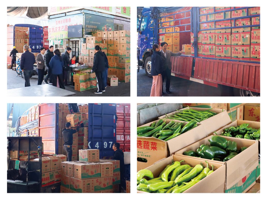 首页| 402cc永利集团中国区官方网站