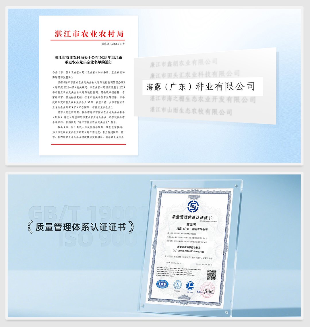 首页| 402cc永利集团中国区官方网站